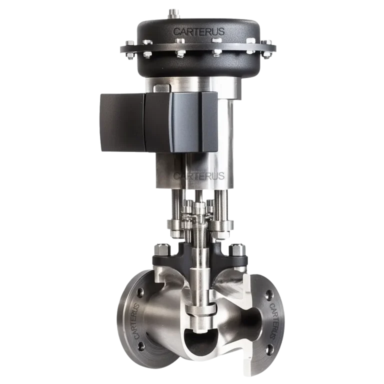 Severe Service ANSI Control Valve