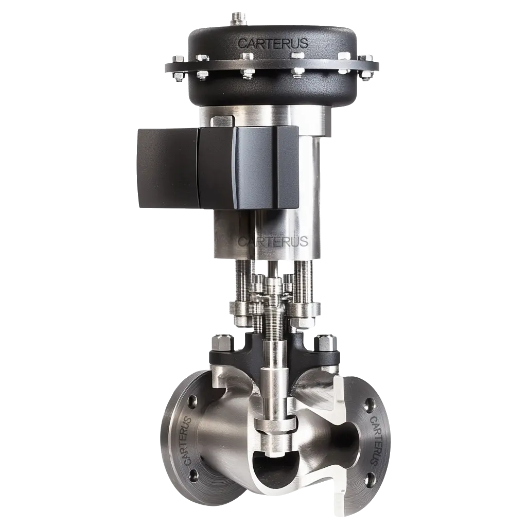 シビアサービス用ANSIコントロールバルブ