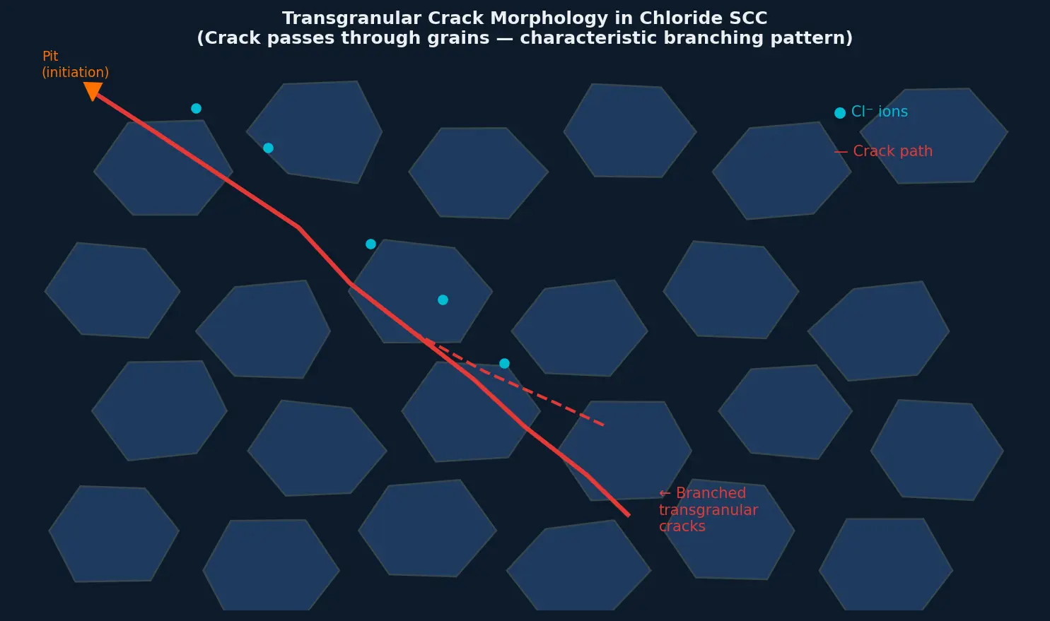 Transgranular crack morphology of chloride stress corrosion cracking — branching crack path through austenitic stainless steel grains
